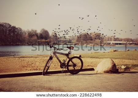 a Bike, Cycling background, Be free, Freedom background, Birds flying, Birds spring, Summer time