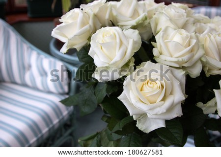 white avalanche roses in vase by chair shallow depth of field
