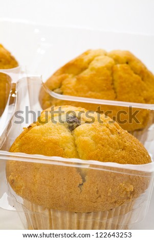 Close up of a muffin cookies with chocolate chips in a plastic container,