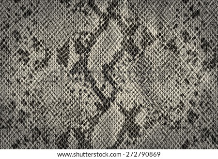 Snake skin silver vintage background from artificial leather texture