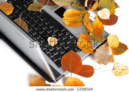 Autumn laptop. Colorful leaves and laptop isolated on white.