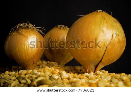 onions - dark vision