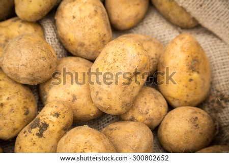 Raw white unpeeled dirty potatoes