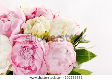 Rich bunch of peonies