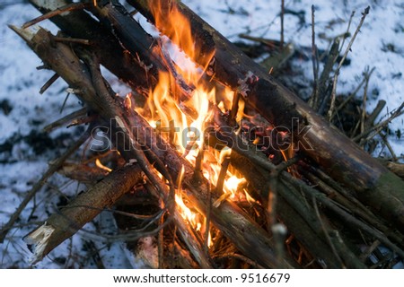 bonfire on a winter forest