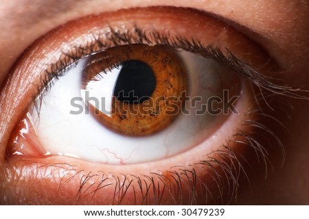 big eye