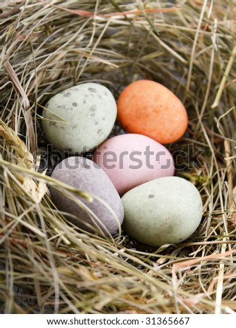 chocolate eggs in the nest