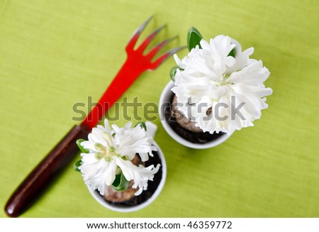 Floriculture Tools