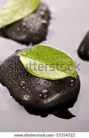 zen stones and leaves with water drops