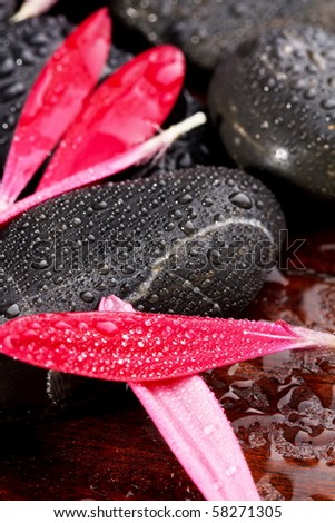 zen stones with water drops and petals