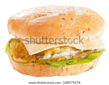 cheeseburger on the plate cheeseburger on the plate