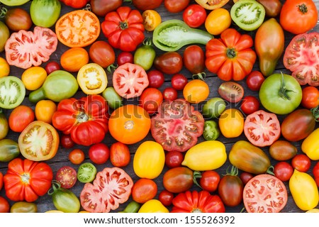 Colorful Tomatoes