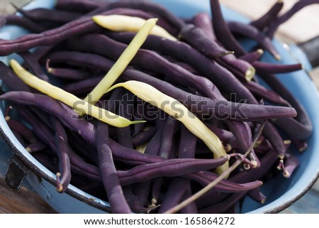 Purple string beans