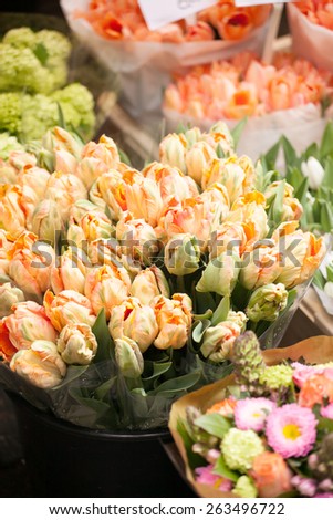 outdoor flower market in Amsterdam