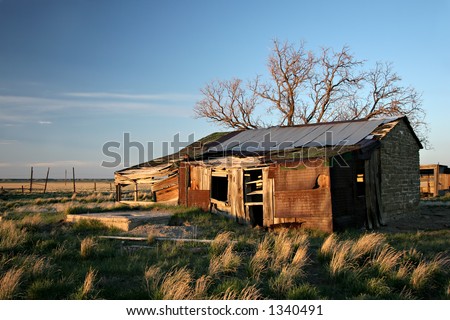 abandoned shack falling apart in rural america
