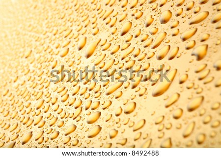 water drops background, abstract macro on golden surface. limited dof.