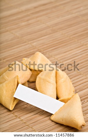fortune cookies - one open cookie with space for text, whole text area in focus