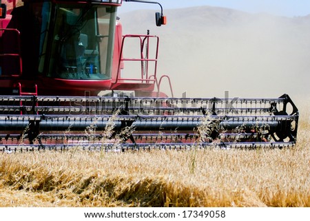 combine harvester in action on barley field - closeup front view