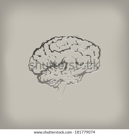 Brain. Vector format