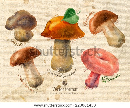 Mushrooms Vector format Mushrooms Vector format