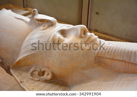 MEMPHIS, EGYPT - 15 NOVEMBER 2015 : The huge statue of Ramesses II in Memphis outdoor museum. The colossal statue of Ramesses II. The statue weight is around 80 tons
