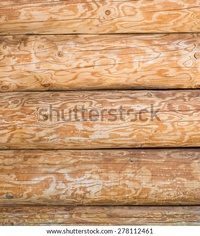 Traditional highland cottage wall made of debarked spruce trunks