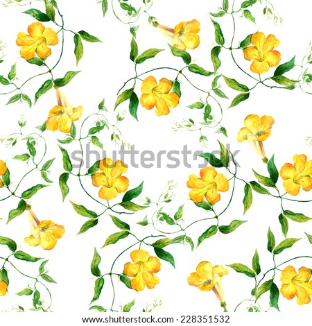 Yellow flower bindweed. Repeating floral pattern. Watercolor