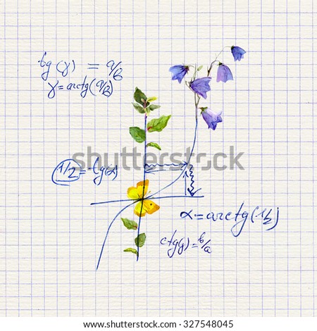 Math design - mathematical graph and formula with flowers. Hand written concept of science