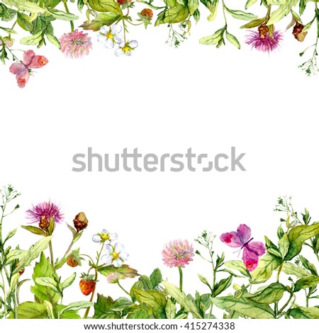 S[ring, summer garden: flowers, grass, herbs, butterflies. Floral pattern. Vintage watercolor
