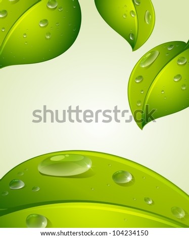Illustration of green background with leaves