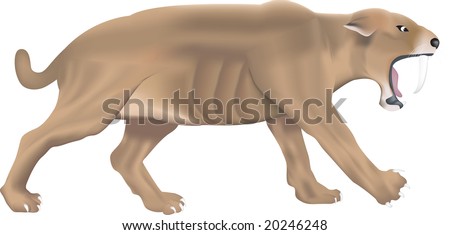 Illustration Of An Isolated Saber-Tooth Tiger - 20246248 : Shutterstock