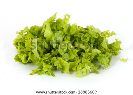 a studio photo of wet lettuce shreds