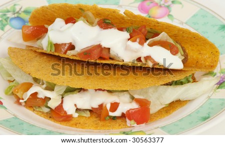 isolated photo of mexican food in designer dish
