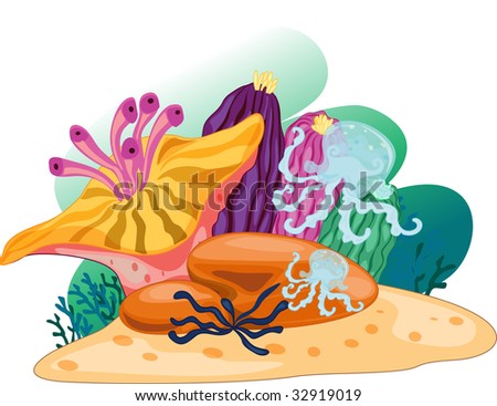 Coral Reef (Vector Illustration Also In Portfolio) - 32919019