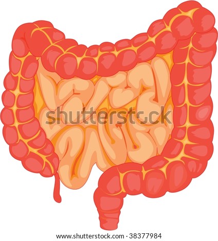 Gurgling intestines || mucus