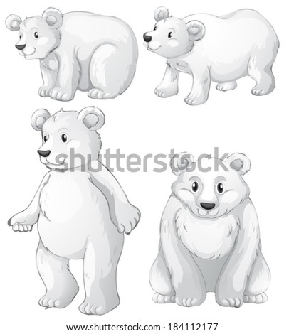 Illustration of the four white polar bears on a white background Illustration of the four white polar bears on a white background