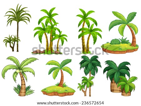 Illustration of different kind of palm trees