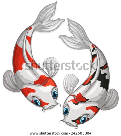 Illustration of two kois swimming