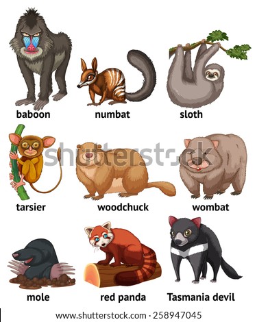 Different type of rare animals