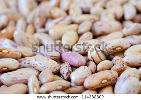 Close-up dry white beans on natural light