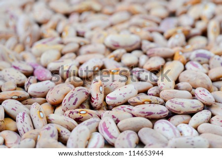 Close-up dry white beans on natural light