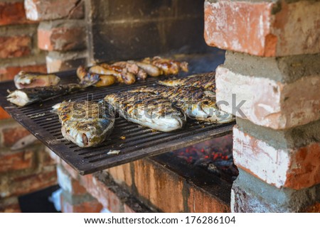 Fish seated on brick barbecue fried in natural light