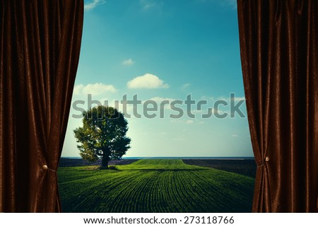 Agricultural landscape with tree behind curtain