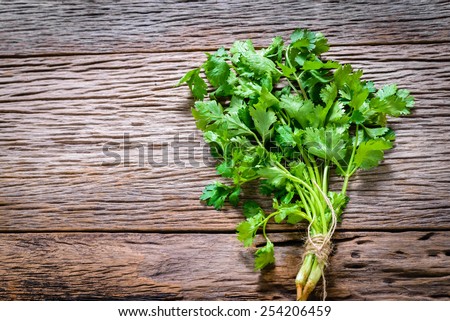 Coriander bunch on old wood