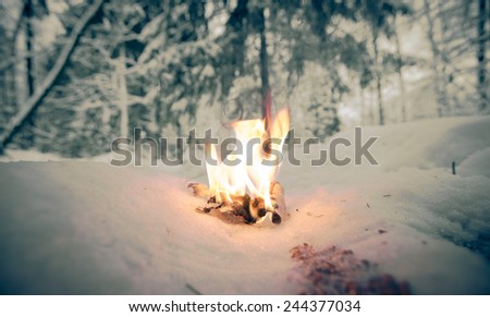 Bonfire on a snowy clearing in the woods. Toned.