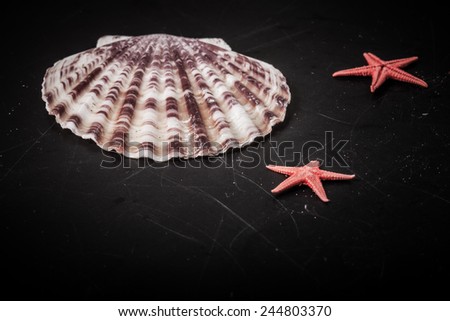 Red starfishes and seashell on the old black shabby background. Toned.
