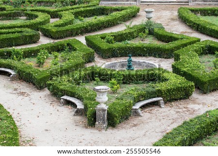 The composition of the curly trimmed bushes in the old park.