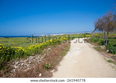 Trees and road in the meadow with yellow flowers. In the background sea and blue sky.