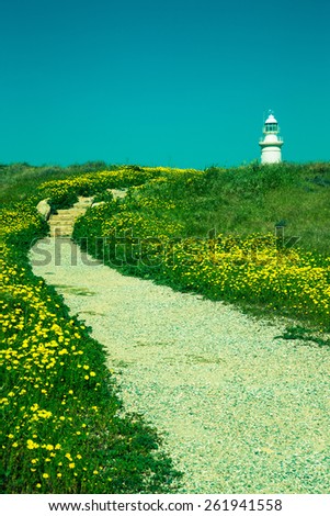 Stony road through the field with yellow flowers to the lighthouse. Toned.