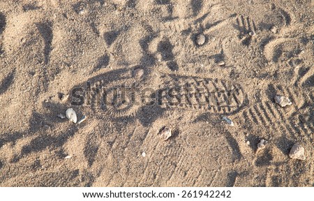 shoe print in the sand with shells.
